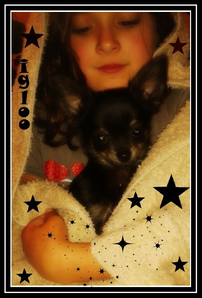 Publication : Des Petits Lutins Auteur : mingaud patricia