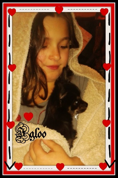 Publication : Des Petits Lutins Auteur : mingaud patricia