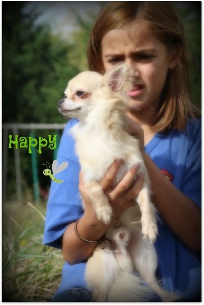 Publication : Des Petits Lutins Auteur : mingaud patricia