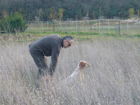 Publication : De Mayazi Auteur : sonia guitoun