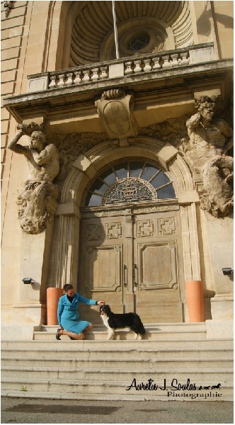 Publication : Des Narcisses Du Royaume D'egypte Auteur : Aurélie J.Soulas