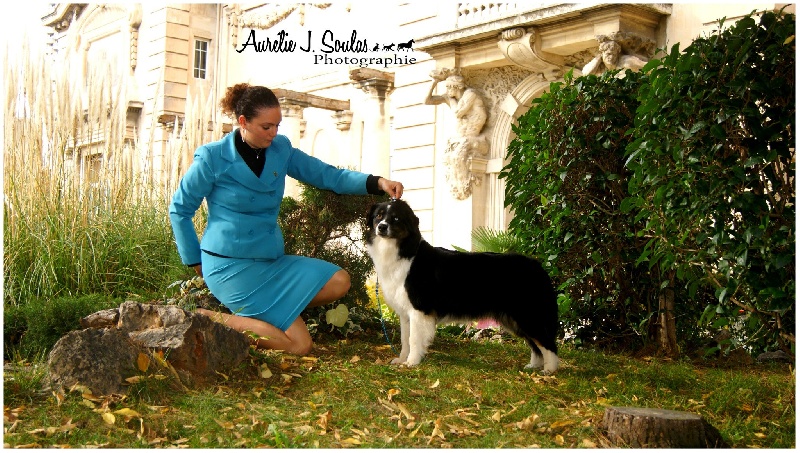 Publication : Des Narcisses Du Royaume D'egypte Auteur : Aurélie J.Soulas