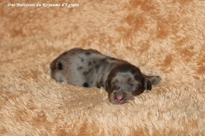 Abracadabra me voilà