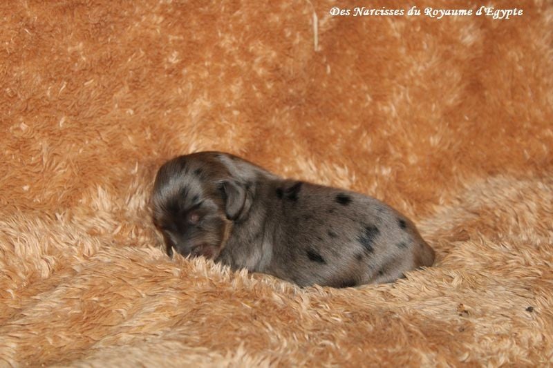 Abracadabra me voilà