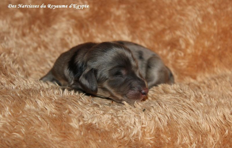 Abracadabra me voilà