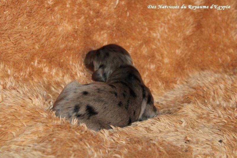 Abracadabra me voilà