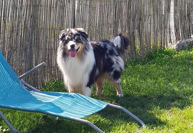 Some kind of magic's Love play - 1ere Excellent - CACS - Classe Ouverte