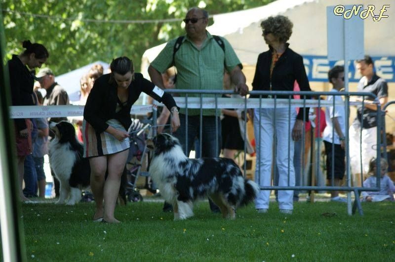 Some kind of magic's Love play - 3eme excellent - classe intermédiaire