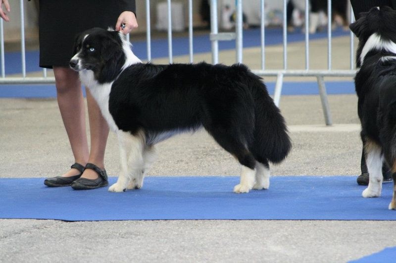 Fly me to the moon of Sipawaban - Très Bon - Classe intermédiaire