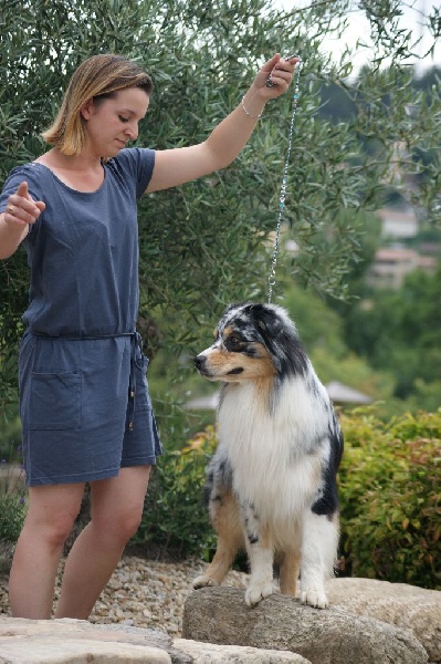 Some kind of magic's Love play - 3eme excellent - Intermédiaire mâle