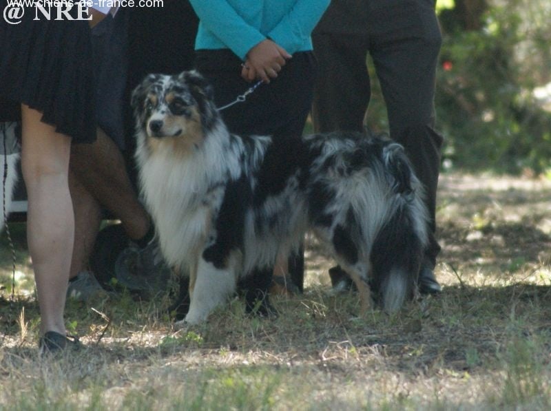 Some kind of magic's Love play - Très Bon NC -classe jeune