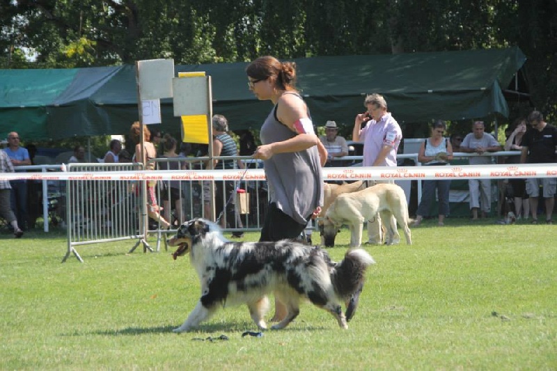 Some kind of magic's Love play - 1er excellent - MEILLEUR JEUNE