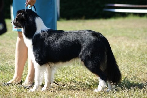 Fly me to the moon of Sipawaban - Excellent - Classe Jeune