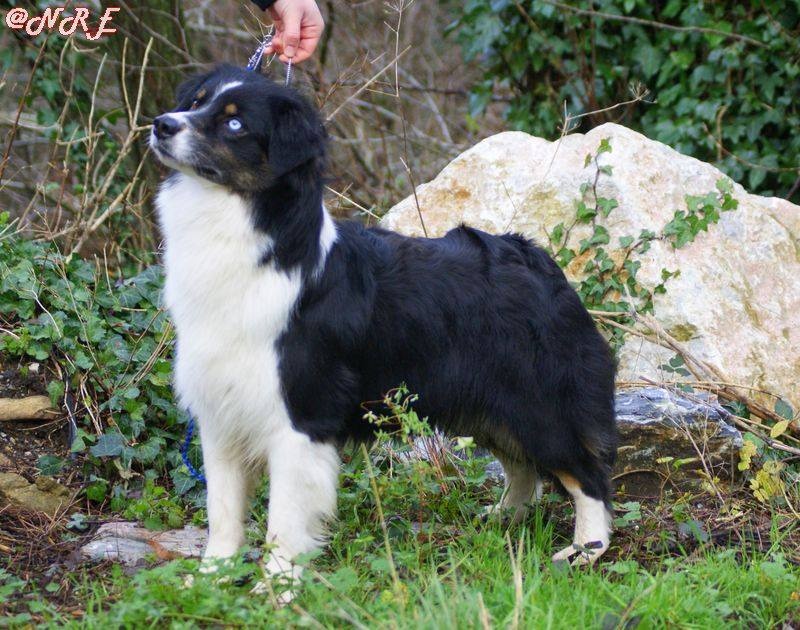 Fly me to the moon of Sipawaban - Très Bon - Classe Ouverte