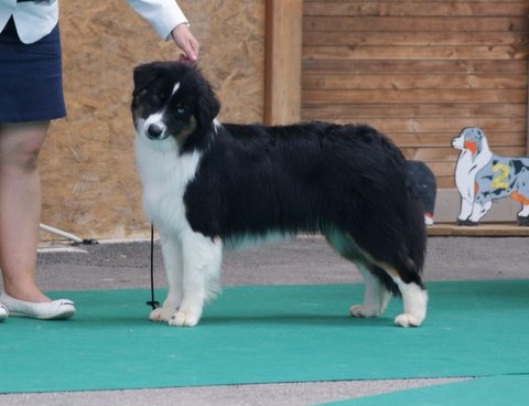 Fly me to the moon of Sipawaban - Excellent - Classe Jeune