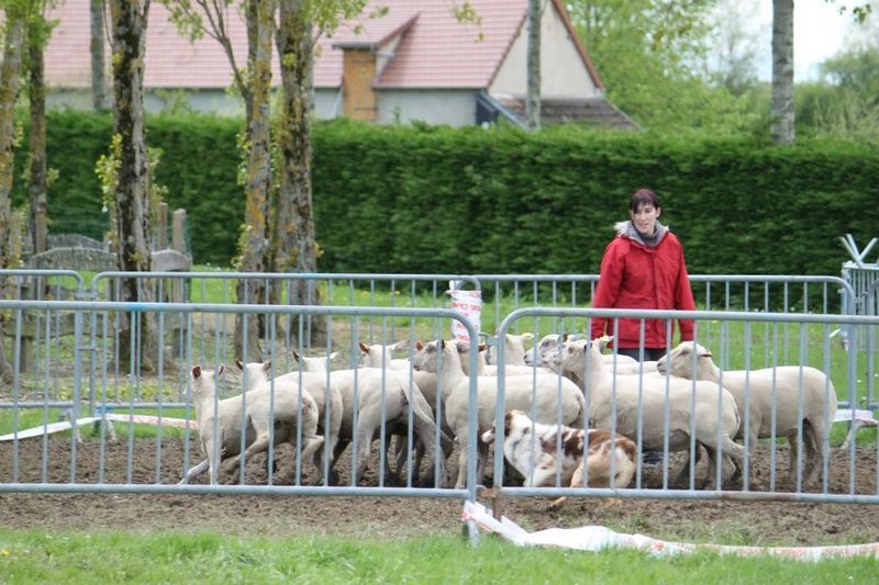 Gwich'in peel river of Sipawaban - CANT