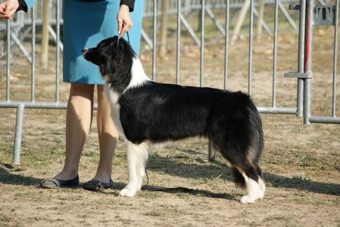 Fly me to the moon of Sipawaban - Excellent - Classe Jeune