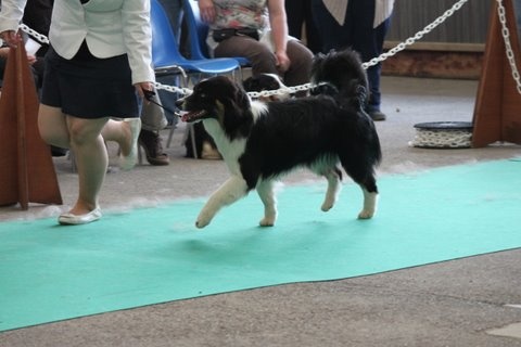 Fly me to the moon of Sipawaban - CANT