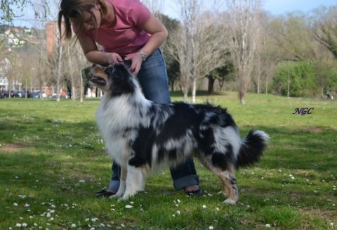 Some kind of magic's Love play - 2eme excellent - classe intérmédiaire