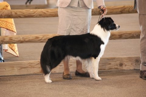 Fly me to the moon of Sipawaban - Excellent - Classe Jeune