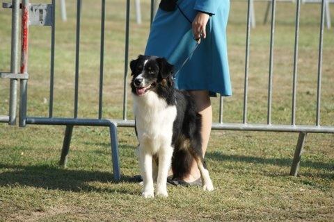 Fly me to the moon of Sipawaban - Test de Sociabilité