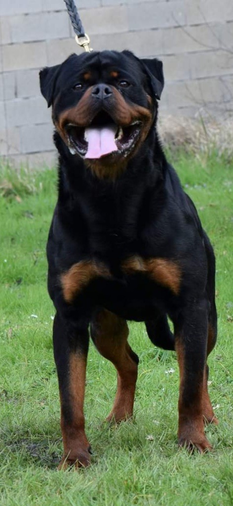 Publication : Cerro de la Gloria