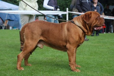 Publication : De La Maison D'izzie