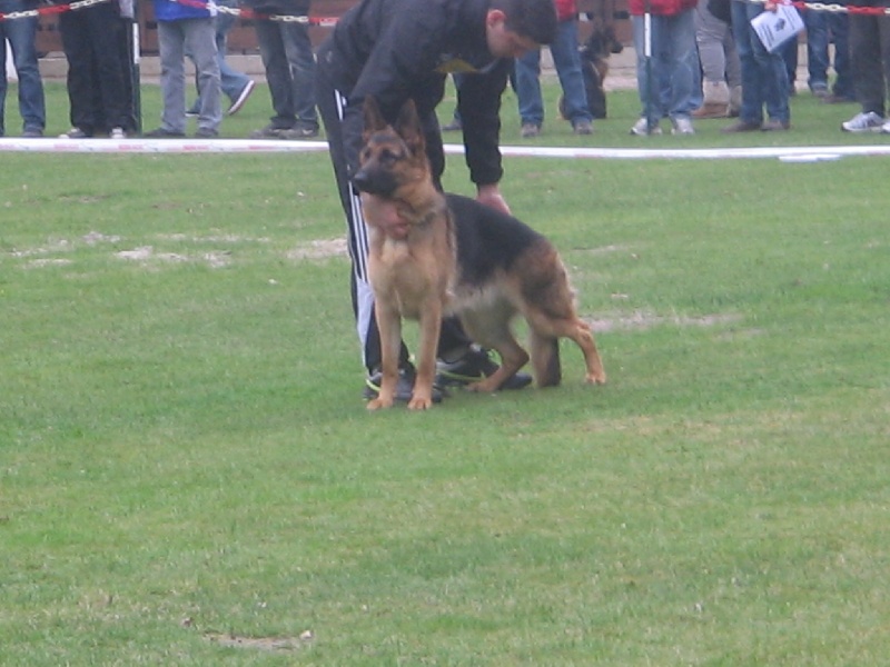 Greta du Du clos de patmisand - 3em place