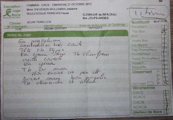 Guimauve le berceau des loups-anges - 4émé TRES BON