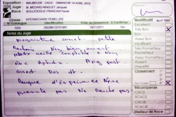 Guimauve le berceau des loups-anges - 4émé TRES BON + COMFIRME