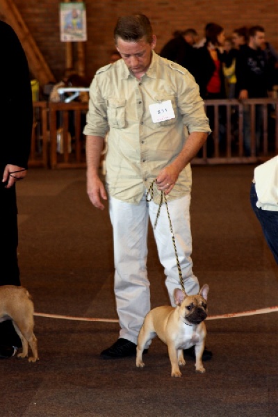 Guimauve le berceau des loups-anges - 4émé EXCELLENT