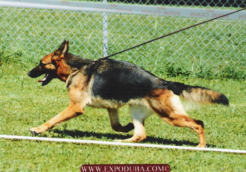 Publication : Du Mas Du Meysonial