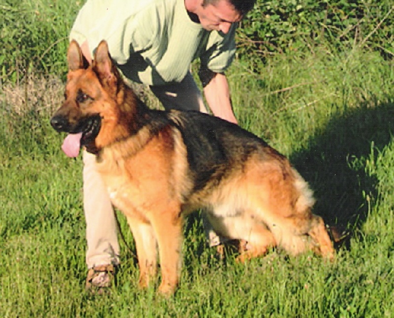 Publication : Du Mas Du Meysonial