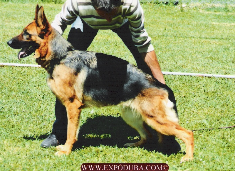 Publication : Du Mas Du Meysonial