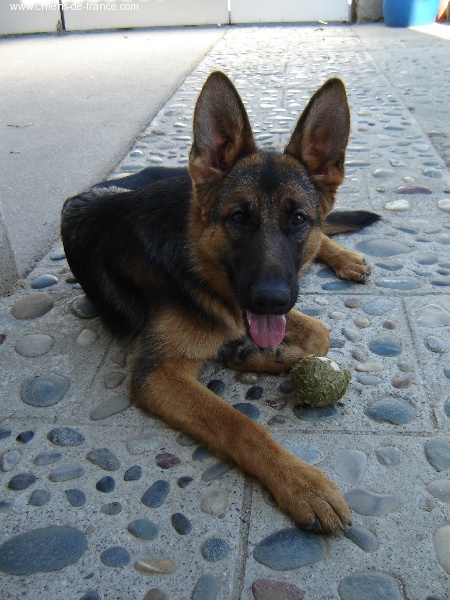 Publication : Du Mas Du Meysonial