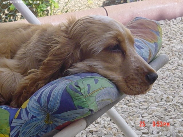 Publication : La plombiere du clos