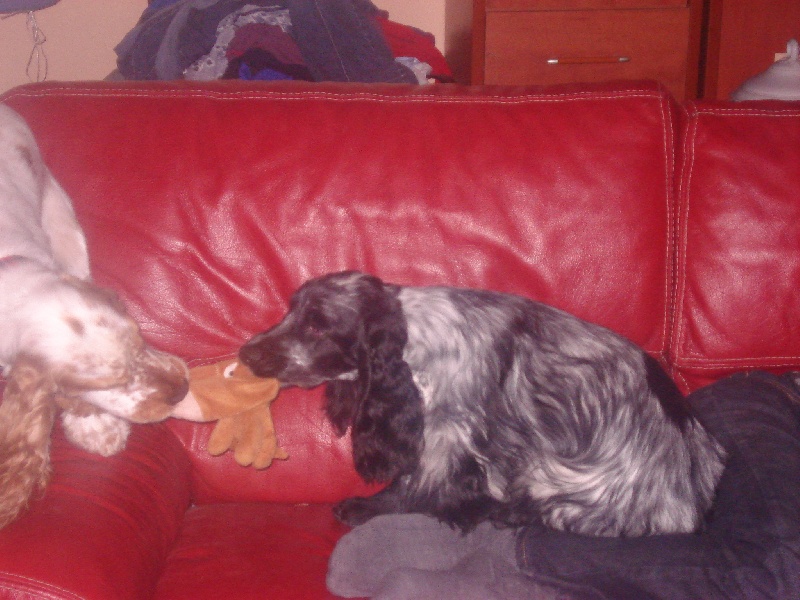 Publication : La plombiere du clos