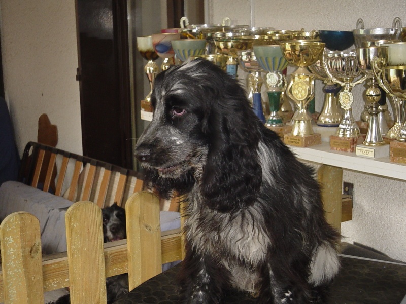 Publication : La plombiere du clos