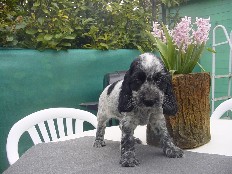 Publication : La plombiere du clos