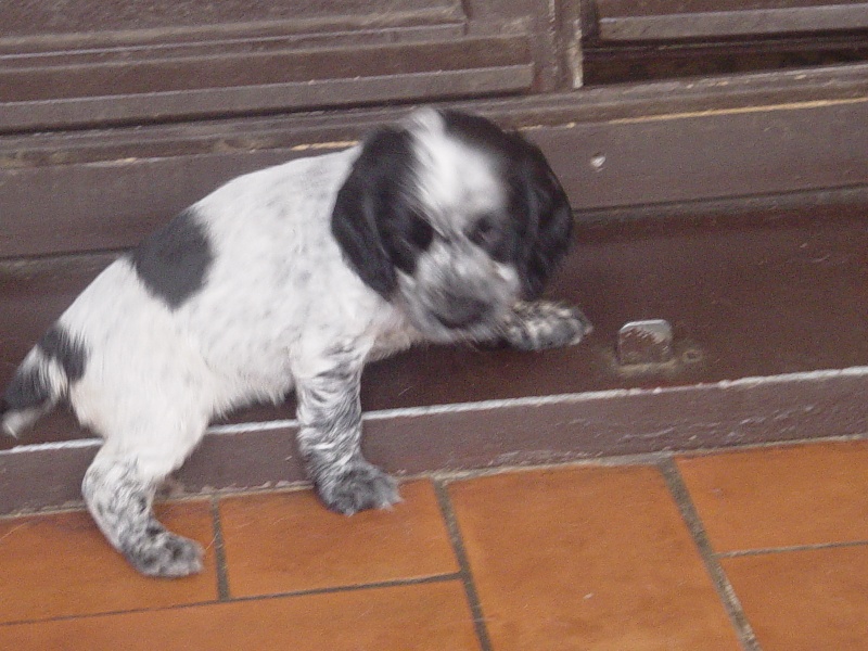 Publication : La plombiere du clos