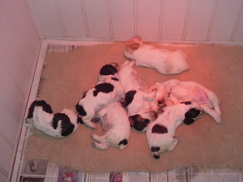 Publication : La plombiere du clos