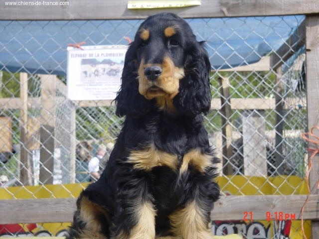 Publication : La plombiere du clos