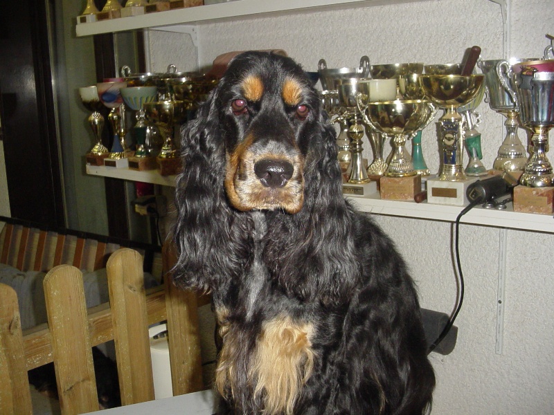 Publication : La plombiere du clos