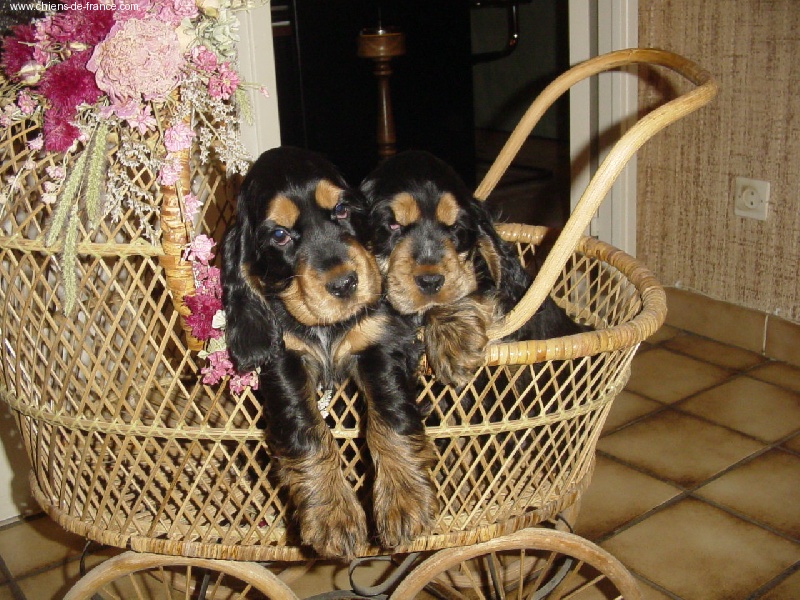 Publication : La plombiere du clos