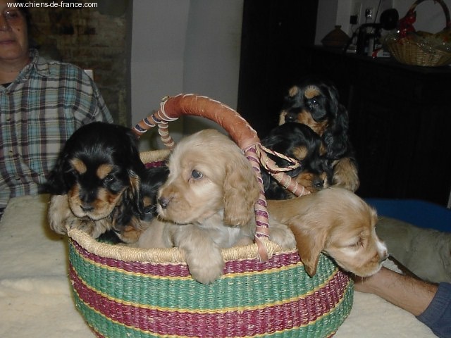 Publication : La plombiere du clos