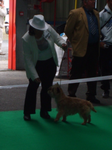 Publication : Du hameau des landes