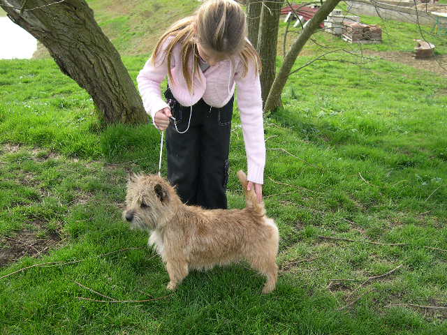 Publication : Du hameau des landes