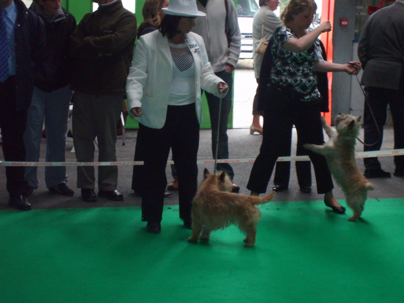 Publication : Du hameau des landes