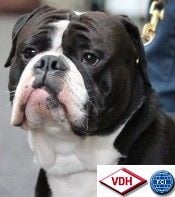 Publication : des perles noires de Beaume Auteur : Klaus Hopfazel