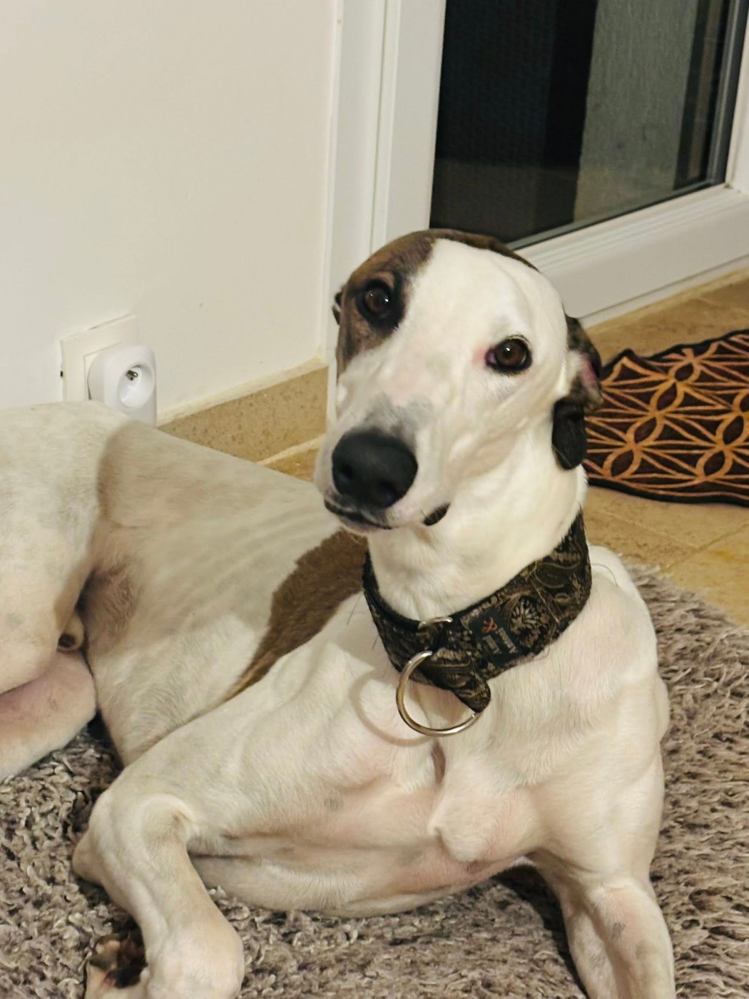 Ahzur aka avery Du domaine de pharamond